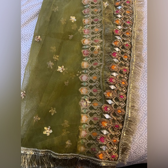 Beautiful Pakistani/Indian Lehnga Choli - Picture 4 of 6